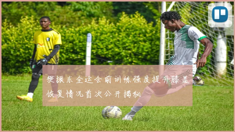 樊振东全运会前训练强度提升膝盖恢复情况首次公开揭秘