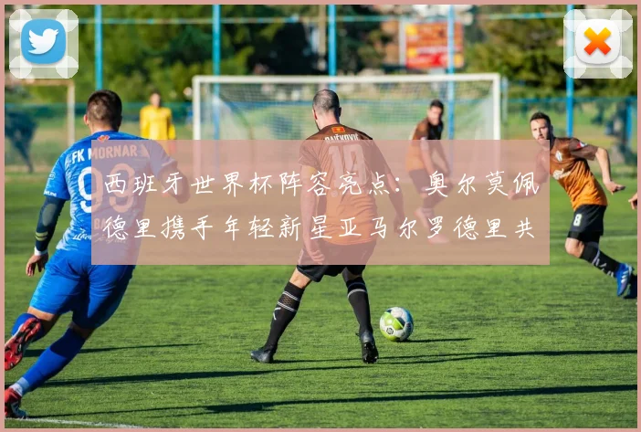 西班牙世界杯阵容亮点：奥尔莫佩德里携手年轻新星亚马尔罗德里共赴荣耀之战